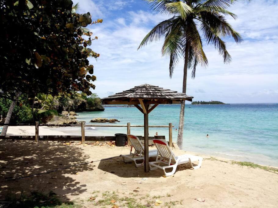 F1 Vue Mer, Acces Plage, En Centre-Ville Le Gosier  Esterno foto