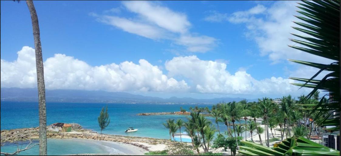 F1 Vue Mer, Acces Plage, En Centre-Ville Le Gosier  Esterno foto