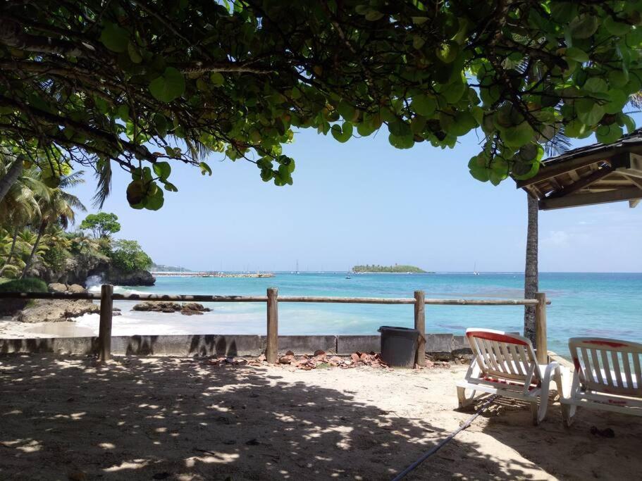 F1 Vue Mer, Acces Plage, En Centre-Ville Le Gosier  Esterno foto