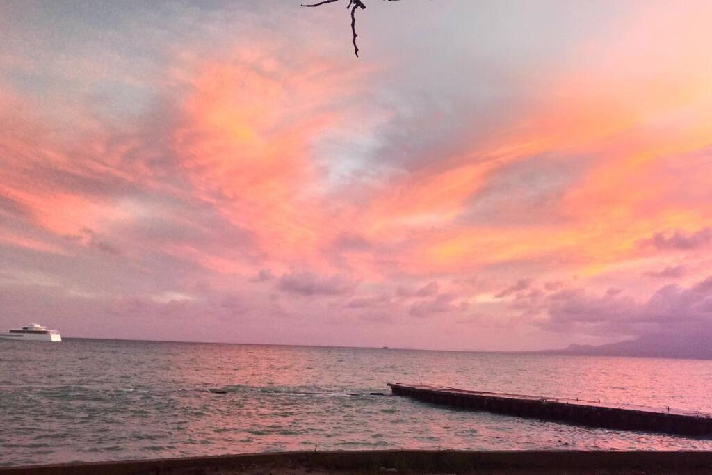 F1 Vue Mer, Acces Plage, En Centre-Ville Le Gosier  Esterno foto